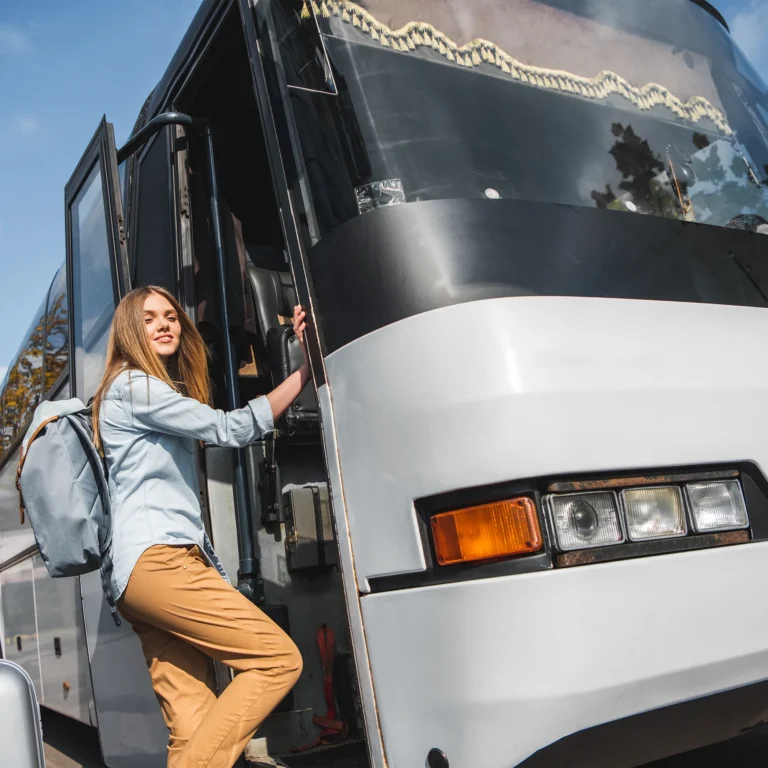 pasajero turismo