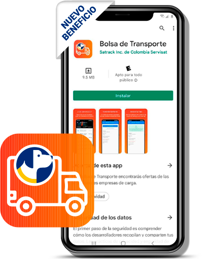 bolsa de transporte